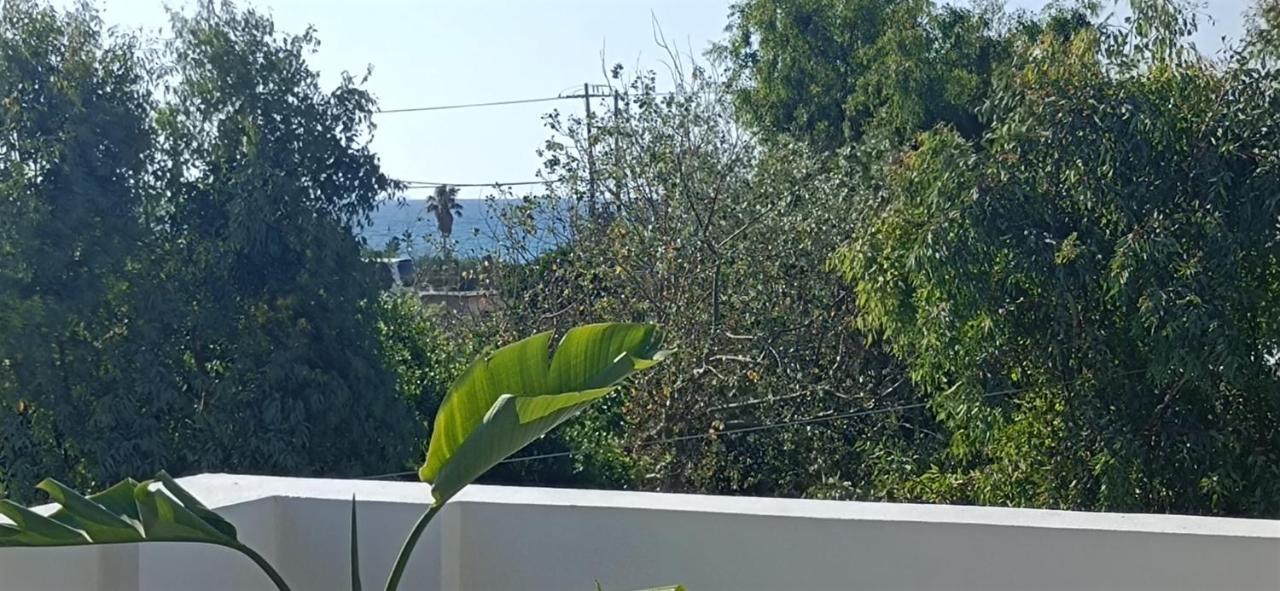 Arokaria Holiday Houses Платанес Номер фото