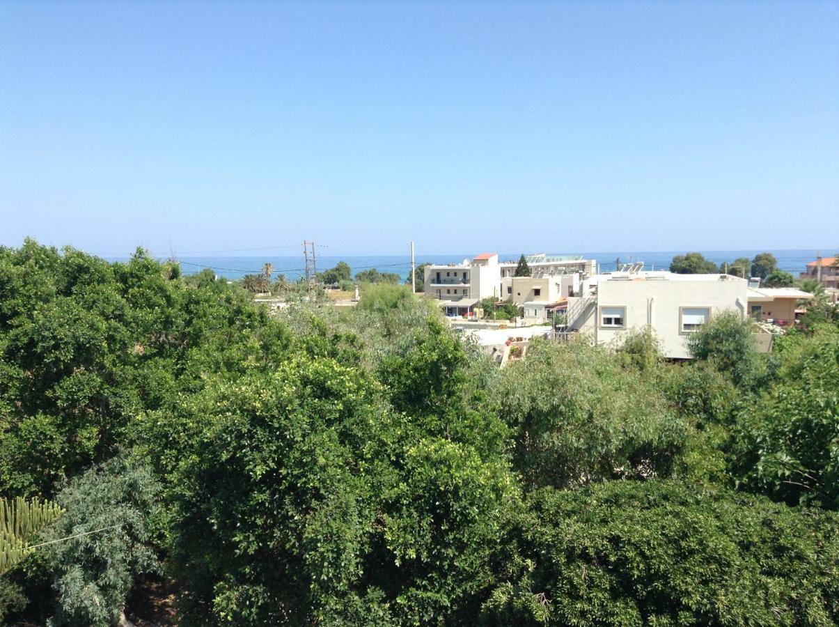 Arokaria Holiday Houses Платанес Экстерьер фото